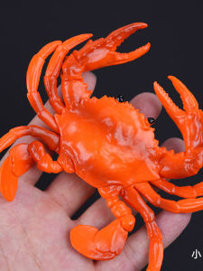 HANYIMOWAN | Decorative Childrens Crab Replica