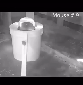 Automatic mouse trap Reusable mouse rat trap Catching mice of all sizes mouse trap for big rat Automatic flip