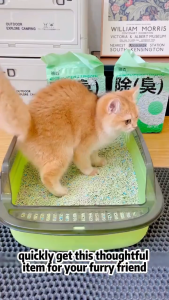 Cat Toilet Box With Scoop Deodorization Leakage Prevention Cat Poop Tray Cat Litter Box Pet Bathroom