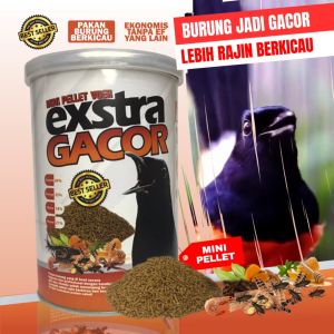 VOER EXTRA GACOR JADIKAN BURUNG TAMBAH GACOR - INSECT EGG HONEY