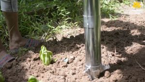 Landmart เครื่องหยอดกล้ามือบีบ หยอดต้นกล้ามือบีบ ปลายเเหลม รุ่น LM-A028