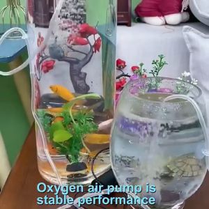 Aquarium USB Oxygen Pump: Enhancing Your Fish Tank Experience