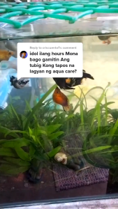 1L Aqua Care Aquarium Water Conditioner Aquarium Needs Accessories Essentials