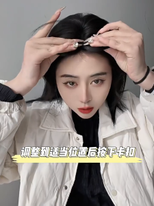 HAIR CLIP PONI VIRAL DZ