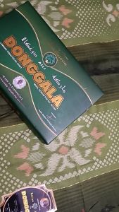 SARUNG TENUN DONGGALA SONGKET MAESTRO