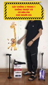 Gậy chống / Gậy Batoong thương hiệu BestCare Chính Hãng cho người già 2in1 gậy chống trượt gậy batoong kết hợp đèn pin chiếu sáng