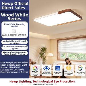HUIPU ZHAOMING | Elegant Minimalist Protective Eye Walnut Finish Living Room Ceiling Light