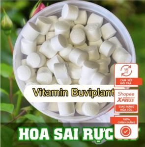 Hộp 100 viên tặng 50 viên vitamin BUVIPLANT dinh dưỡng cho cây