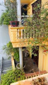 Lá xông tắm thảo dược 12 vị 10 set giải cảm thải độc phục hồi cơ thể tăng sức đề kháng hô hấp