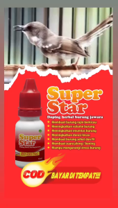 superstar vit spesial kenari bikin cepat sehat & gacor