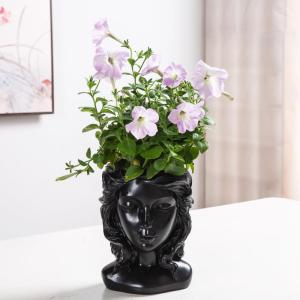 Resin Creative Flower Pot for Succulents and Figurines