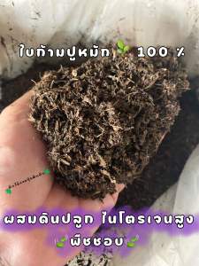 🍂ปุ๋ยใบก้ามปู 100 % ปุ๋ยหมักธรรมชาติ 🍂ใบร่อนละเอียด สำหรับผสมดิน แคดตัสและไม้ดอกไม้ประดับทุกชนิด 400 กรัม