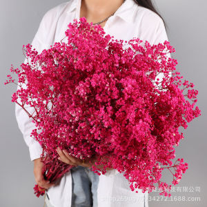 Everlasting Flower Decorative Bouquet Meteor Shower Star Dry Flower Gift for Valentines Day And Festivals Jewelry Accessory