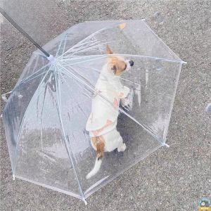 gumahus | Adjustable Dog Walking Pet Umbrella
