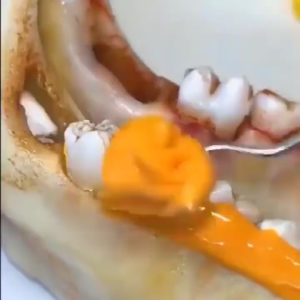 Spearmint MintTeeth Whitening Whitening Toothpaste Bad Breath Relief Deep Cleansing Toothpaste