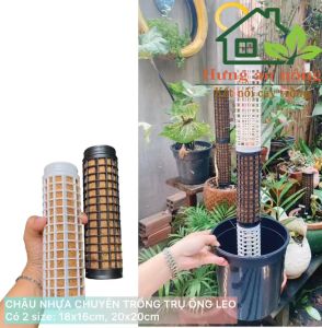 TOL20CM - Trụ ông nhựa PVC cứng cáp chuyên dùng cho cây leo giúp thoáng khí chống úng bộ rễ phát triển tốt ( xem trong mô tả )