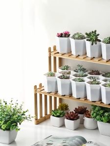 🇸🇬 Plant Rack Plant Stand Flower Rack / Plant Rack / 100% natural bamboo - Durable / plant rack stand / plant stand wood / plant pot stand / Para Living