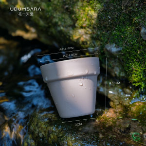 Thickened Miniature Fleshy Plant Plastic round Mouth Ceramic Imitation Flower Pot for Sowing And Seedling Cultivation