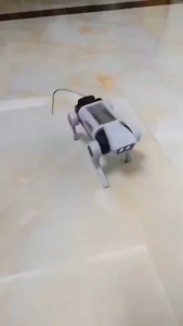 KIDZOONAA - MAINAN ANAK REMOTE CONTROL ROBOT DOG -MAINAN DIY RC ROBOT DOG (XTS-3079)