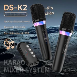 Hệ Thống Micro Hát Karaoke Bluetooth 5.3 Không Dây Với Bộ Trộn DSP Đèn RGB Đầu Vào Aux 3.5 Mm Bộ Khuếch Đại Năng Động Cầm Tay Cho KTV