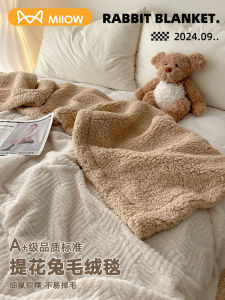 Thickened Class a Rabbit Fur Blanket Warm Sofa Cover Coral Fleece Blanket for Nap in Office Universal Modern Simple Style Pure Color