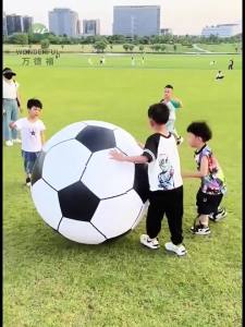 80cm Giant Inflatable Soccer Ball PVC Beach Ball Outdoor Sport Game Toy for Children Adult