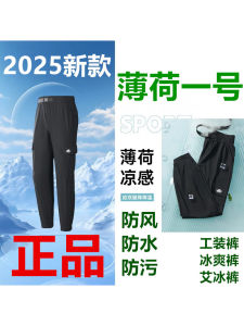 Mint One Work Trousers Ice Point Capsule Mosquito Proof Paulozovant Thickened Straight Leg Pants Mens Waterproof Kneepad Trousers