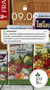 ไซโตคิน 1 ลิตร ช่วยให้พืชเจริญเติบโตอย่างรวดเร็วในทุกส่วนของต้นพืช ดกแท้ แน่จริง งอกของเมล็ดพืช การแตกยอดอ่อน ใบใหญ่ ขยายขนาดของลำต้นพืช การแตกราก แตกตาดอกช่วยการติดผล ติดดก ขั้วเหนียว ลดการหลุดร่วงผล