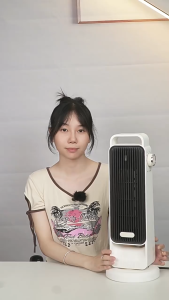 2-in-1 Desktop Fast Heating Fan Heater PTC Ceramic Oscillating Hot & Cold Electric Portable Room Air Warmer