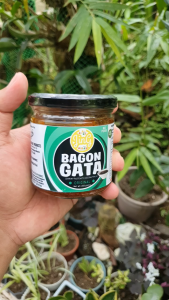Jing Bagon Gata Original (Bagoong sa gata)
