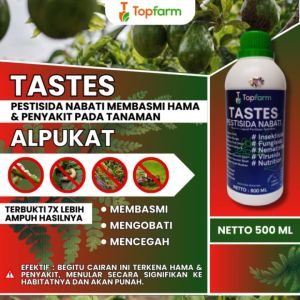 Obat Semprot Buah Alpukat / Obat Pembasmi Ulat Alpukat / Obat Penumbuh Buah Alpukat / Obat Hama Ulat Daun Alpukat / Obat Tanaman Pohon Alpukat
