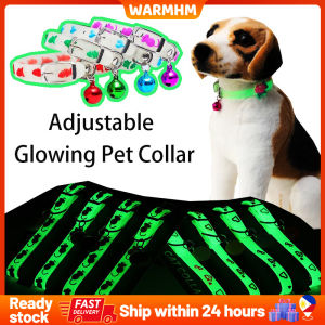 Fluorescent Silicone Collar for Cats and Puppies Dogs to Travel Safely At Night Illuminated Collar New Fluorescent Silicone Collar Cat Puppies Luminous Collar Night Travel Anti-loss