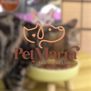 PetMarra Bone Broth for Dogs and Cats Immunity 50g BUNDLE OF 6 - PetMate immune support appetite booster supplement dogs cats appetite enhancer all breeds