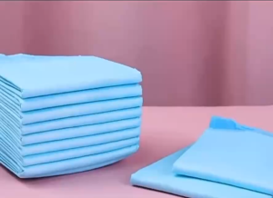 [PREMIUM BUNDLE OF 6] Quality Pet Pee Pad Care Training Pad Incontinence for Dog Puppy Bird Rabbit Adult