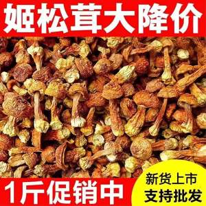 Wild Edible Mushroom 500g
