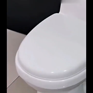 【COD】U/V/O Type Household Toilet Cover Easy to install Toilet Seat High Quality Bathroom ToiletSeats