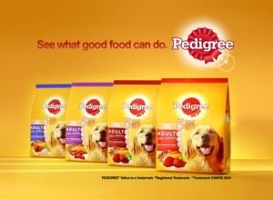 Pedigree Chicken/Beef/Lamb Dog Food 3KG
