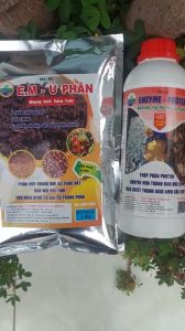 (Bộ Đôi) Men Xúc Tác Hỗ Trợ Ủ Đạm Cá Phân Chuồng Trại Khử Mùi Hôi Trừ Mầm Bệnh - ENZYME PROTEASE Và E.M Ủ PHÂN
