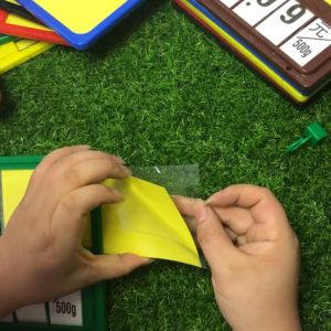 Label Harga Produk / Price Tag / Label Harga Makanan Beku Di Supermarket