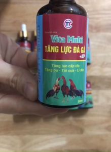 Kích lực tăng lực 50ml gà đá gà chọi tăng bo tải cựa lì đòn. Thú y Trường Thịnh