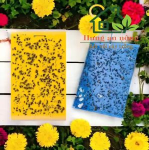 Sét 10 miếng keo xanh dán 2 mặt kèm kẽm treo dùng dụ bọ trĩ ( xem trong mô tả )