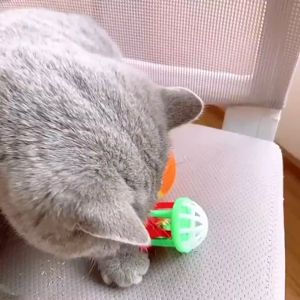 Cat Kitten Parrot Play Bell Ball Toy Cat Ball With Bell