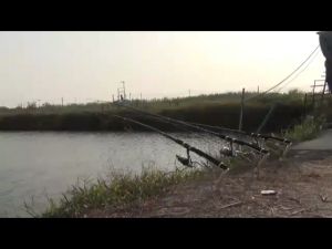 KGECC19GsxLpRRlN.mp4