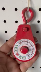Ròng Rọc Treo Cáp 30kg - 50kg - 100kg - 200kg - 300kg- 500kg-1000kg -capthepthaibinhvina