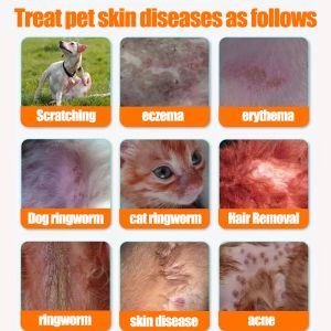 👍1 bottle protect pet skin 3 years🐕dog itchy skin spray Treats all petskin prohlems dog skin infection spray 狗狗驱虫药dog medicine dog itchy skin medicine dog skin treatment pet skin medicine Available for Fungi/Mites/Dermatitis/Depilation狗狗皮肤病药 狗皮肤病药 狗伤口喷雾