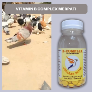Vitamin B Complex Merpati Untuk Menjaga Kesehatan Agar Tetap Aktif Dan Lincah