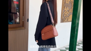 Danlu Crossbody Bags Purses for Women Small PU Leather Shell Handbags with Adjustable Shoulder Strap