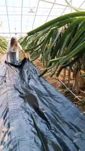 【🔥 Clearance Sale 】150GSM Garden Anti Grass Cloth Garden Weed Barrier Fabric High Density Woven Landscape Fabric Premium Heavy Duty Weed Mat Fabric Weed Blocker Fabric“Import from Japan”