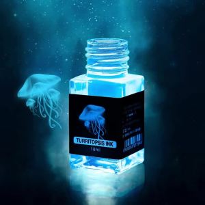 18ml Non-Carbon Magic Invisible Ink For Fountain Glass Dip Pen Creative Fluorescent Ink Gift Stationery