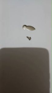 ใบโพธิ์เหล็ก ล็อคหลังกรอบรูป ฟรีสกรูยึด (แพค 10 ชิ้น) พร้อมส่งทุกวันค่ะ